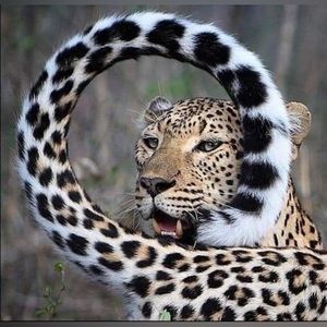 Meet your Posher, Maia